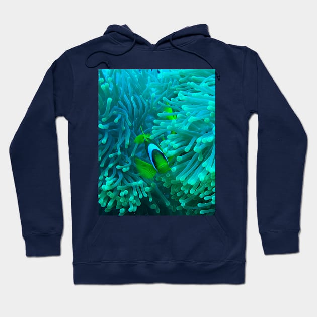 Clownfish Hoodie by likbatonboot